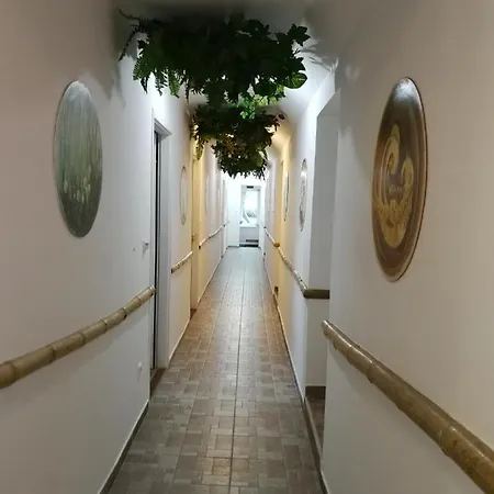 Bed & Breakfast Gomba Panzio Velem